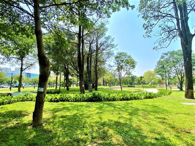 绿意盎然的美景真舒畅，但这不是在国外，而是台中市民眾很有感，面积宽广超霸气的公园绿地。（卢金足摄） 