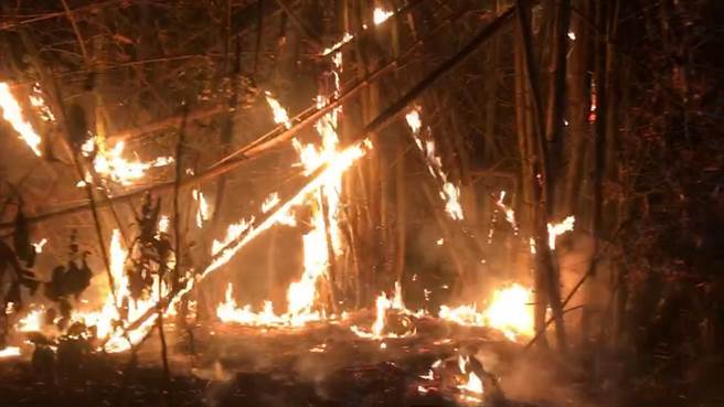 燒廢木模板引森林大火延燒3公頃，保七總隊追4個月終破案。（警方提供／謝佳潾屏東傳真）