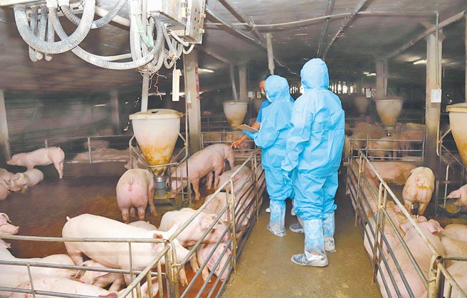 嘉义县日前完成全县271养猪场疫情访视，除7场合法列管厨余场外，亦盘点出疑似违规使用厨余养猪场23场，存在风险相当高。（嘉义县政府提供／吕妍庭嘉义传真）