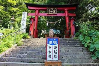 日本人超愛的打卡能量秘境  貓頭鷹神社求財「趣」