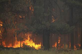 加州卡爾多野火延燒 內華達山脈5萬人接獲撤離令