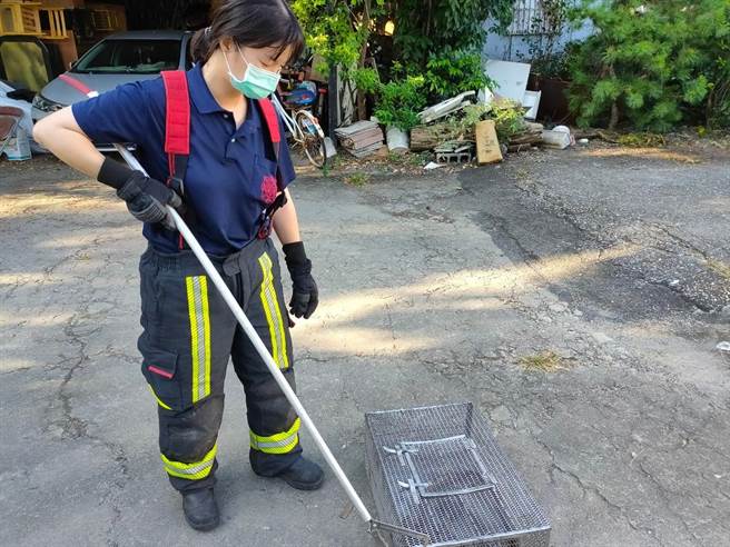 花莲县消防局捕蜂捉蛇业务去年共执行近4000件，今年迄今也有高达2100件，即起将回归专业，委外处理，势必能让消防人员有更多时间充实救灾救难专业技能。（花莲县消防局提供／罗亦晽花莲传真）