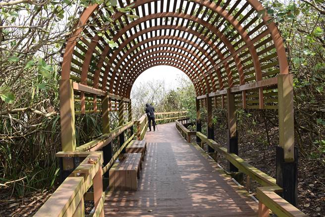 竹南假日之森海滨砂岸发生严重崩坍，已危及人行木栈道安全，苗栗县政府自9月1日起封闭木栈道。（谢明俊摄）