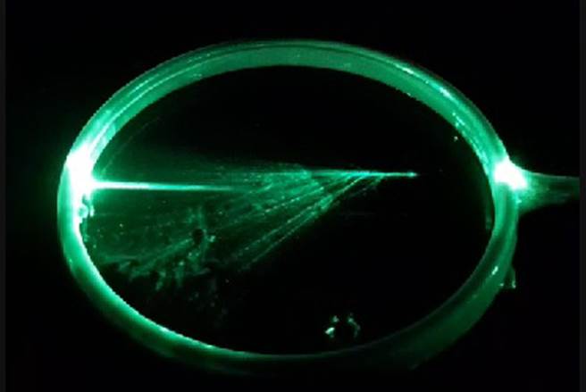 屏女团队发现雷射光照射泡泡膜的最小角度约5.4度，便能产生光鬚现象，因此获得全国高中物理探究实作竞赛金奖殊荣。（屏女提供／林和生屏东传真）