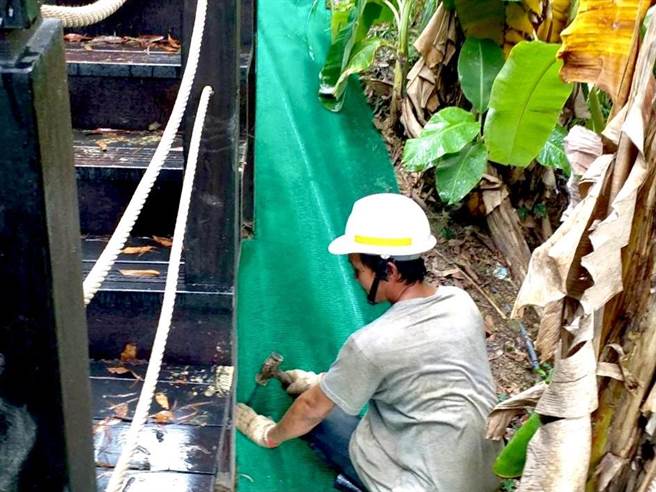 大坑9號步道施作掛網植生護坡工程。（台中市觀旅局提供／王文吉台中傳真）