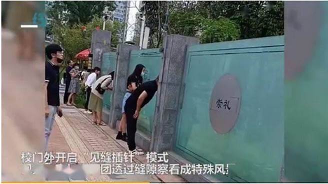 新生開學，家長一字排開隔牆暗中觀察成為奇景。（截自影片）