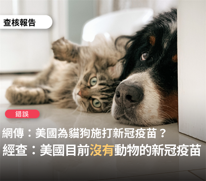 網傳「美國疫苗多到給貓狗打」假訊息，黃姓網友遭送辦，台北地檢署處分不起訴。（取自臉書「TFC台灣事實查核中心」）