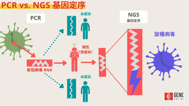 PCR與NGS-基因定序關係(圖/基因線上提供)