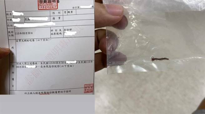 网友的蛋蛋遭蜈蚣狠咬，前往医院挂急诊，并申请了「右睪丸蜈蚣咬伤」的诊断证明。（图／翻摄自Dcard） 