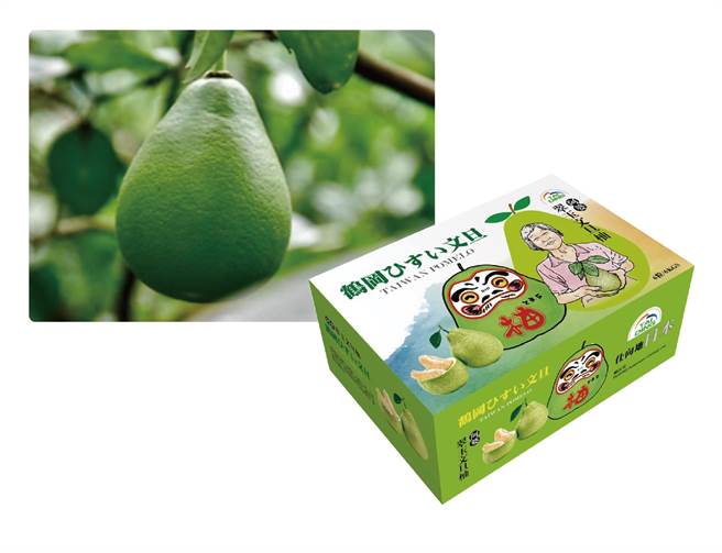 city’super「外销等级花莲翠玉文旦礼盒」，盒5至7颗，3kg，销日含运售价1700元。（city’super提供）