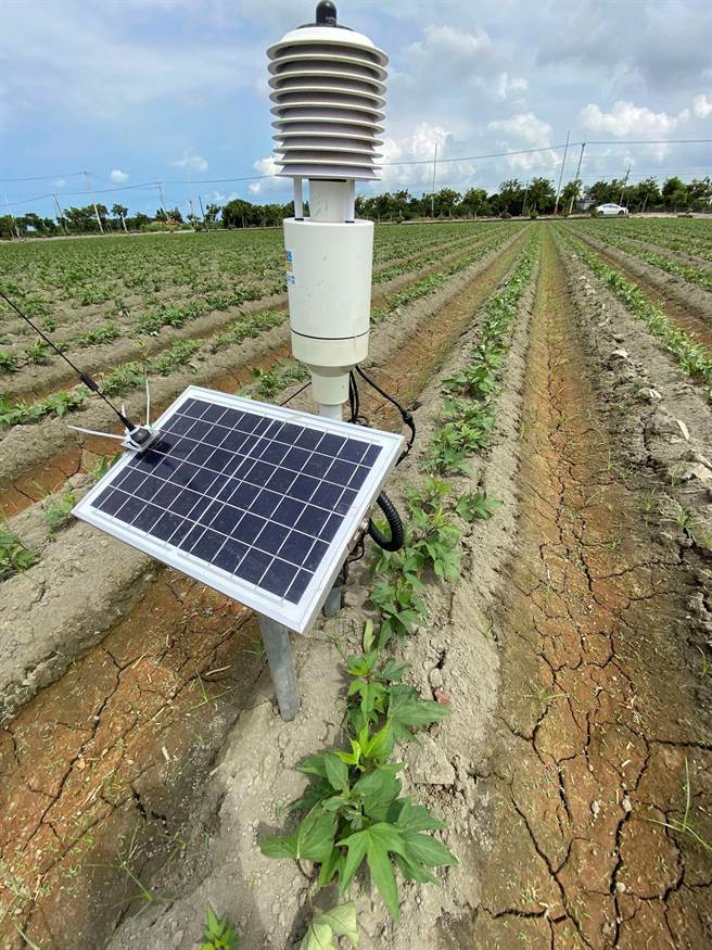 云林县政府推广农业微创新，智慧农业补助开跑。（云林县政府提供／张朝欣云林传真）