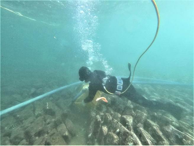 养殖达人时常下水检视贡寮鲍生长状况，让贡寮鲍可在良好的生活环境下快速成长。（新北市渔业处提供）