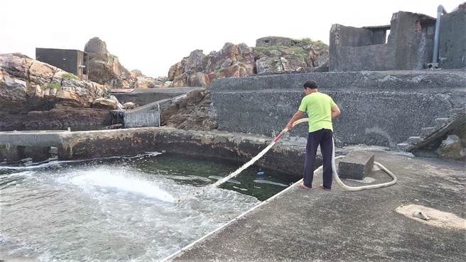 养殖达人张树根利用抽水泵将龙鬚菜及海带均匀地洒到养殖池中。（新北市渔业处提供）