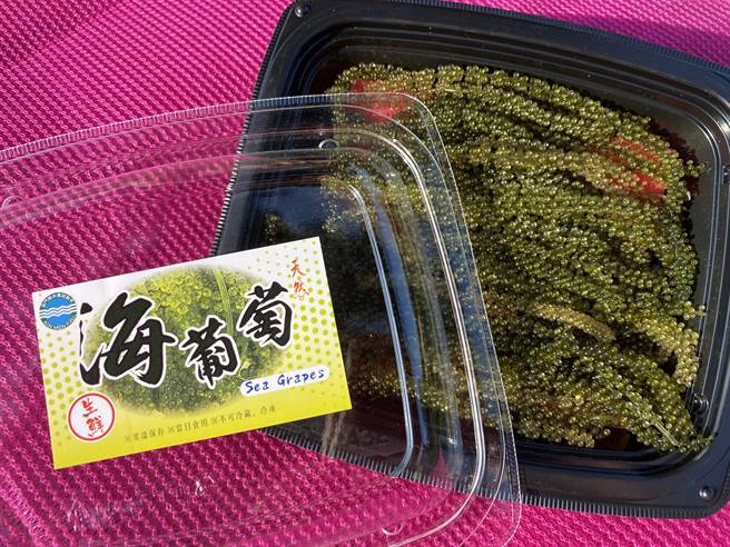 金门县水试所贩售的规格是一盒装100公克，嚐鲜价200元。数量有限售完为止。（金门县水试所提供）