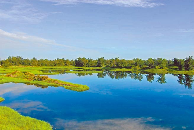嘉义县主要候鸟过境栖地鳌鼓溼地近日陆续有候鸟现踪，嘉义县野鸟学会理事长陈建桦指水域水位过高，恐影响今年鸟况。（嘉义县林区管理处提供／吕妍庭嘉义传真）