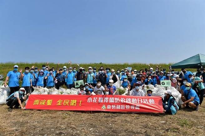 100多名拔蔓志工合力剷除1166.5公斤小花蔓泽兰。（东势林管处提供／王文吉台中传真）