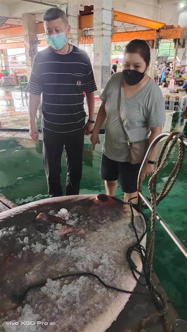 嘉义县今5日有渔民在东石外海捕捉到一尾巨型大鱼，重达180公斤重，最后确认是在台湾西部沿海较少见的翻车鱼。（网友「成峻」提供∕吕妍庭嘉义传真）