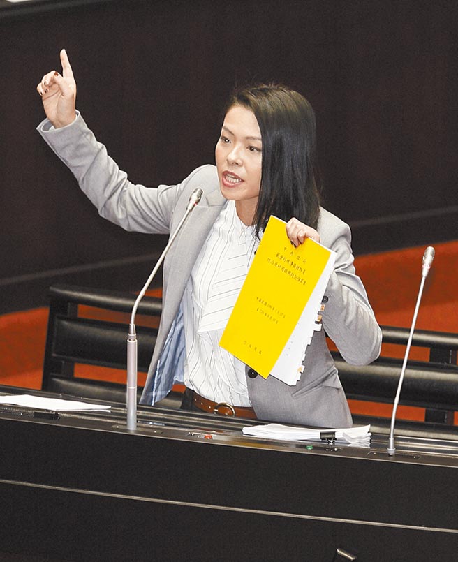 民眾党立委高虹安。（张铠乙摄）