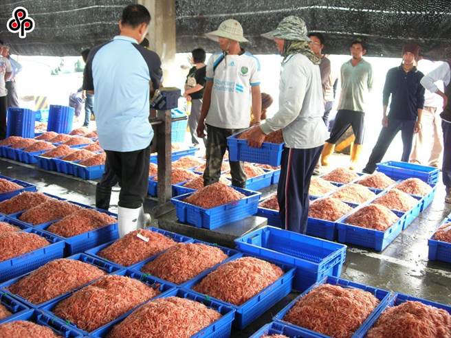 網路一頁式廣告層出不窮，許多民眾成了詐騙廣告的受害者。（本報系資料照）