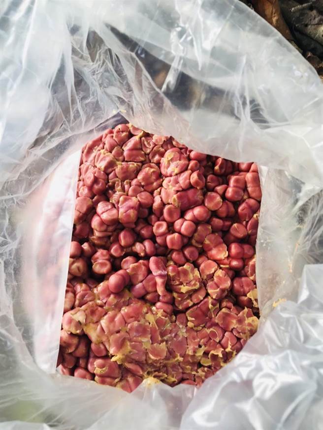 家畜疾病防治所人员当场查扣两大袋持续散发出甜香味，受潮、变形的曼陀珠。（嘉义县家畜疾病防治所提供∕吕妍庭嘉义传真）