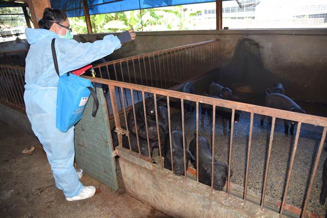 防杜非洲猪瘟，南投县政府加强养猪场稽查。（南投县政府提供／廖志晃南投传真）