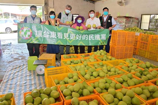 民进党台东县党部今天由主委刘棹豪带领，造访北源村文旦柚果农。（民进党台东县党部提供）