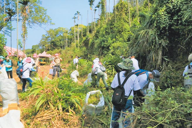 新竹林区管理处日前与苗栗县通霄镇枫树社区民眾、志工等人于休耕农地、果园及周边林地除蔓情形。（新竹林管处提供／庄旻静苗栗传真）