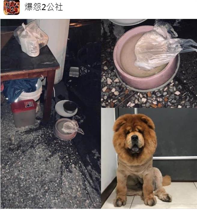 有网友抱怨外送员将食物用丢的，结果掉进狗碗。（截自脸书《爆怨2公社》）