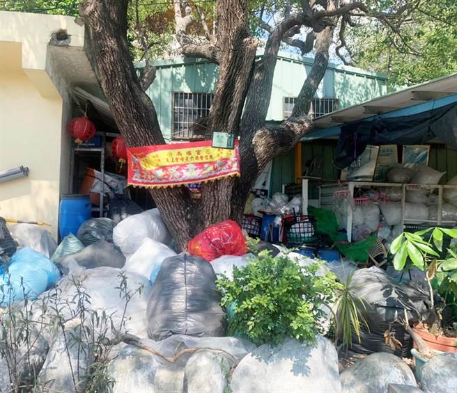 市议员王立任7日为老树请命说，台中市受保护老树维护不当，遭丢弃砖块被垃圾堆淹没，甚至直接变成房子。（市议员王立任提供）