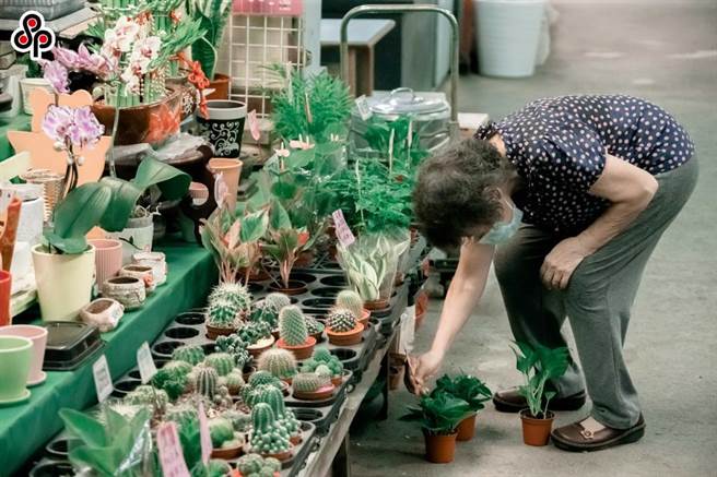 受疫情影响，去年至今有几项农产内外销都受到影响，例如黑鲔鱼、鳗鱼等，因此外销受阻就会积极做内销，花卉受到的衝击最大，因为不是消费者的民生必需品，也会极力促销。（本报系资料照）