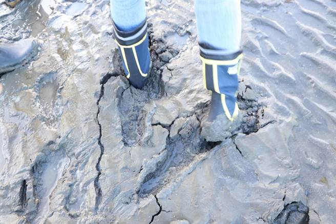 大潭藻礁周遭泥泞严重，一脚踩入甚至会有拔不出来的状况。（陈梦茹摄影）
