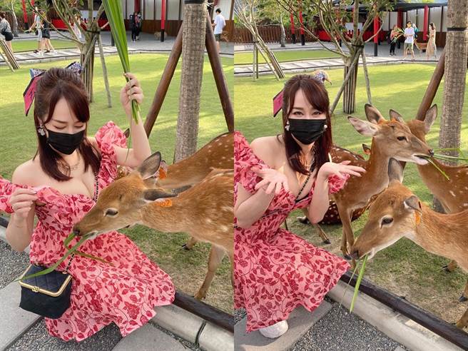 林佩瑶穿超低胸洋装，好身材一览无遗。（图／FB@林佩瑶）