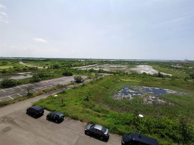 台南大学七股校区设校案2017年宣告终止，目前土地閒置杂草丛生。（刘秀芬摄）