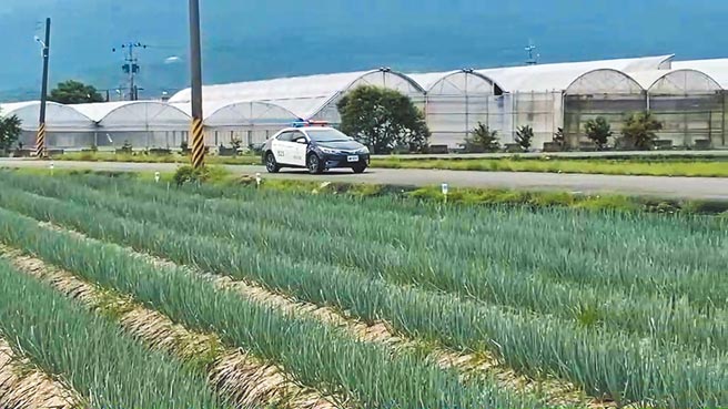 因三星葱价飙涨引来宵小的觊觎，三星警分局启动「护葱专案」，不让农民的辛苦遭宵小偷走。（三星警分局提供／胡健森宜兰传真）