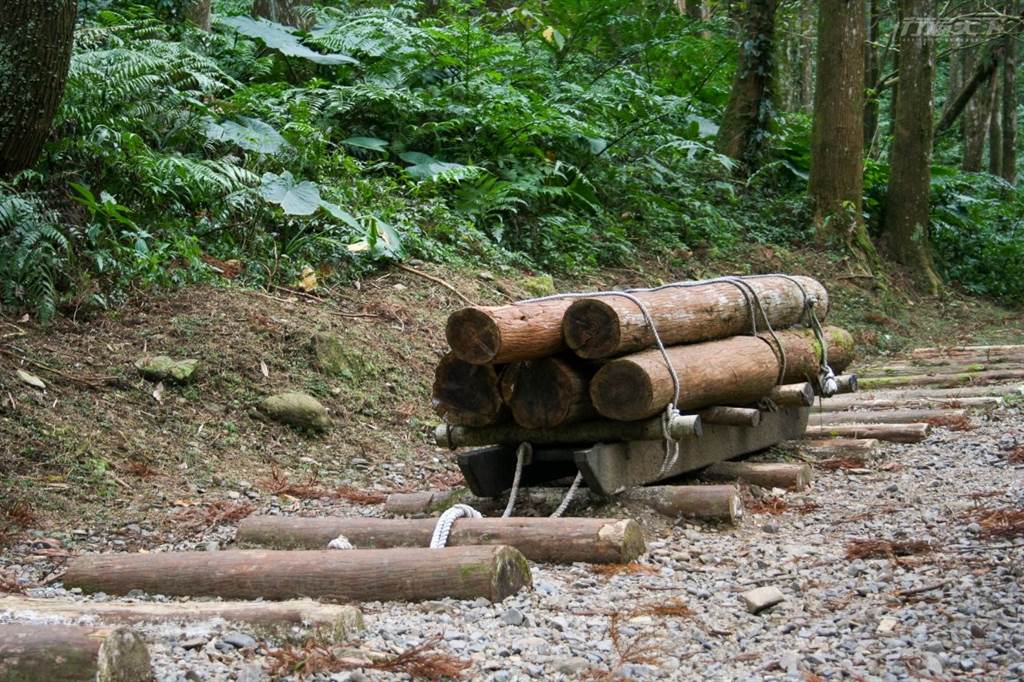 森林知性步道兩旁有根據早期伐木集材的方式所復舊的工具與設備，如台車道、索道、滑道等，可以了解林業文化。（圖／東眼山自然教育中心提供）
