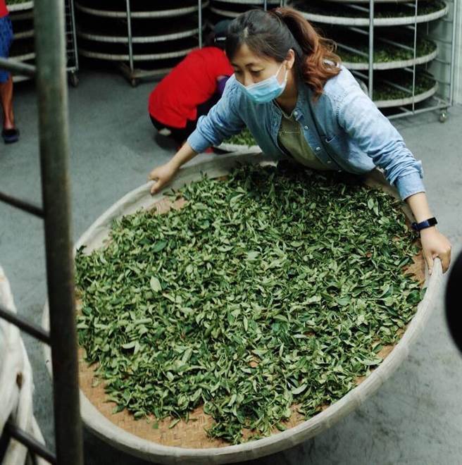 青农学员不畏辛苦返乡投入务农工作。（农业局提供／陈淑娥台中传真）