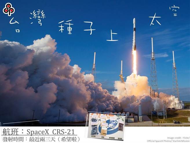 去年底送上太空的台湾4种植物的种子，预定于近日寄至中兴大学，即将由国内中小学生协助展开后续的栽培管理与调查研究。(本报资料照)