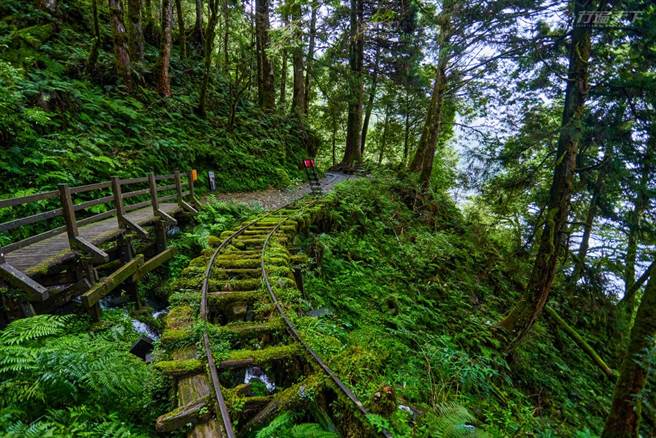步道長900公尺，森林優美，沿途保留鐵道、台車輪軸等歷史遺跡，時而放晴，時而陷入茫茫的霧氣之中，見晴懷古步道彷若仙境。(圖/行遍天下)


