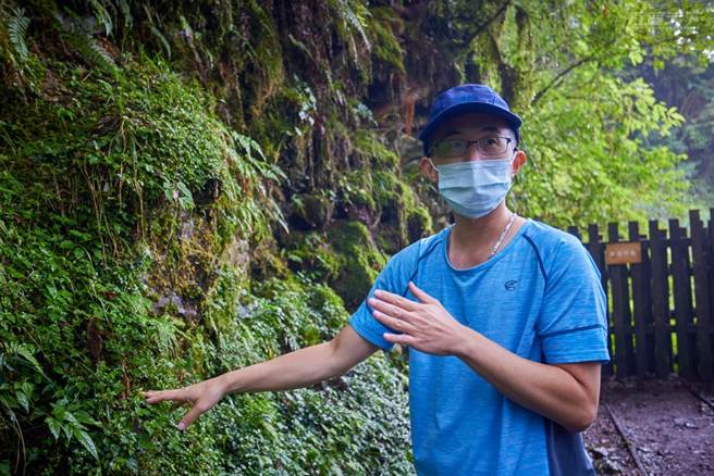 森林達人推薦！太平山工作站的鄭曉中建議大家可前往山中10條特色各異的步道，尤其是秋冬欣賞山毛櫸黃葉與孤枝交錯最美。(圖/行遍天下)

