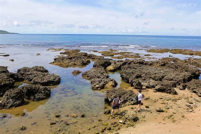 海滨珊瑚礁岩林立，探索藏在岩穴里的螃蟹或是浅水区的鱼儿，也相当有趣。(图/行遍天下)