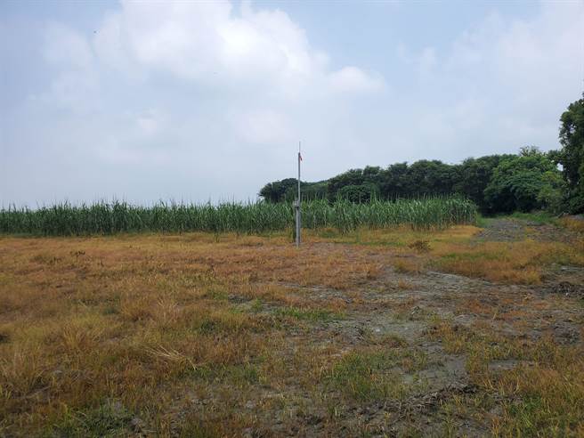 水利署去年在褒忠乡有才村低洼区选择2公顷农田，把田埂加高作为「在地滞洪」示范区，增加1万公吨滞洪量。（周丽兰摄）