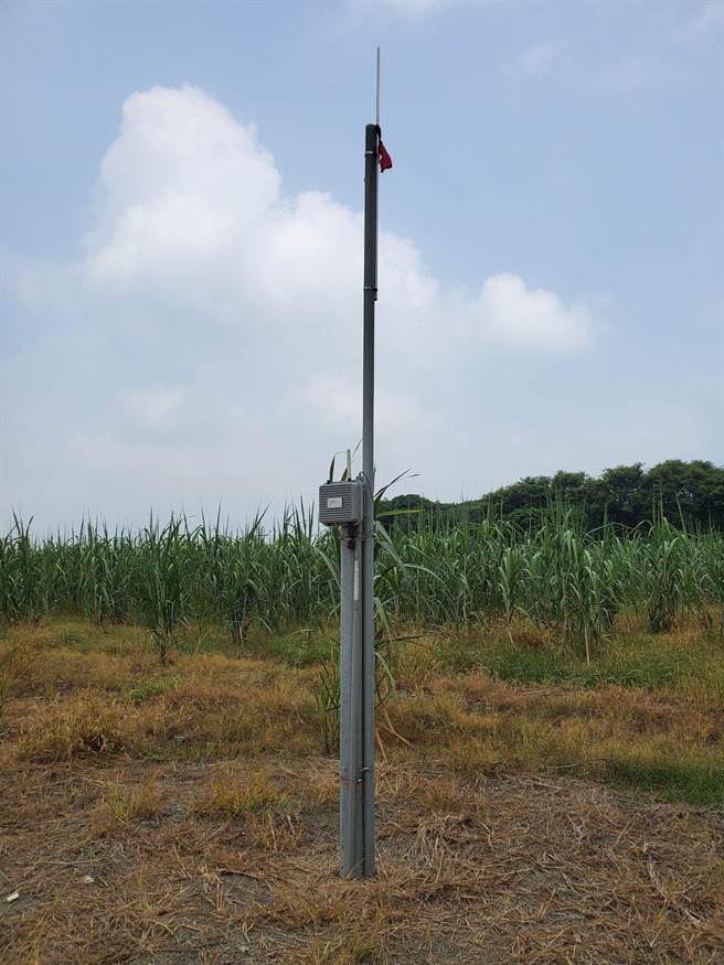 在地滞洪示范区的农田插有监测器。（周丽兰摄）