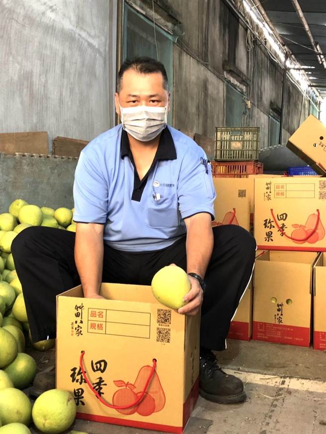 八里黄志暐荣获冠军及甜柚王两项殊荣（农业局提供／戴上容新北传真）