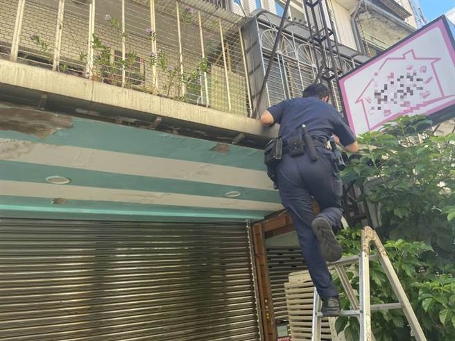 员警爬上铝梯将「喵星人」救出。(翻摄照片／林郁平台北传真）