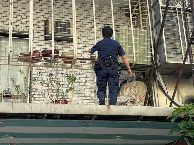 员警爬上铝梯将「喵星人」救出。(翻摄照片／林郁平台北传真）