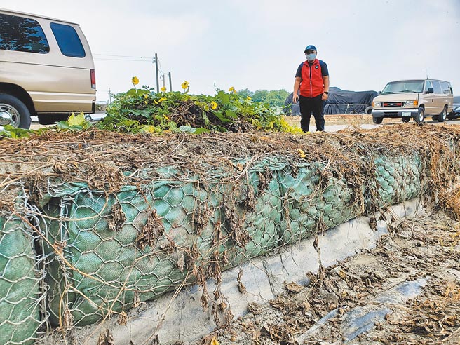 「在地滯洪」措施只要把周邊的田埂加高，不必徵收農地、不影響農民農保資格，圖為雲林縣褒忠鄉有才村的示範區，用蛇籠加高田壟。（周麗蘭攝）