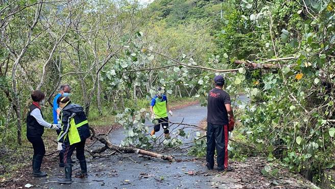 丰滨乡花51线往丰滨八里湾部落，有多处树木因颱风强烈风雨而倒塌，经乡公所处理后已排除。（丰滨乡公所提供／罗亦晽花莲传真）