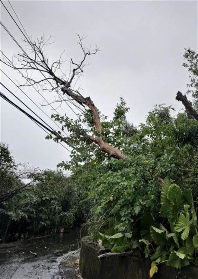中度颱风璨树来袭，今（12日）造成台电台北南区营业处服务区域已数百户停电。（台电提供）