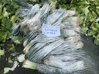 農藥殘留超標 北市8月銷毀2853公斤不合格蔬果