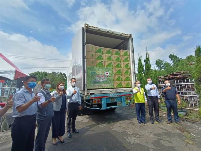 農糧署去年成功打開文旦外銷日本市場，今年預計輸日50公噸以上，首批12公噸13日在台灣省青果運銷合作社裝櫃。（陳淑娥攝）